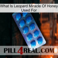 What Is Leopard Miracle Of Honey Used For viagra1